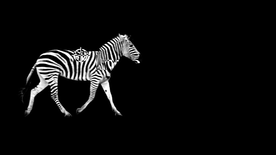 Investec: Dresden